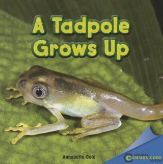 Knjiga A Tadpole Grows Up Annabelle Gold