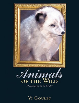 Carte Animals of the Wild VI Goulet