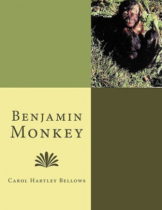 Книга Benjamin Monkey Carol Hartley Bellows