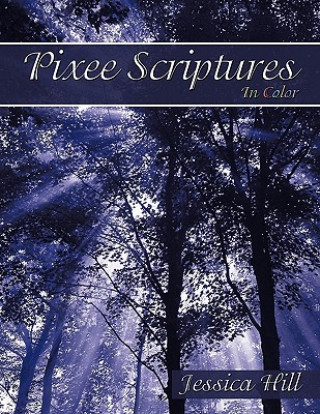 Knjiga Pixee Scriptures Jessica Hill
