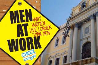 Kniha Men at Work: Why Women Live Longer Than Men Cheezburger