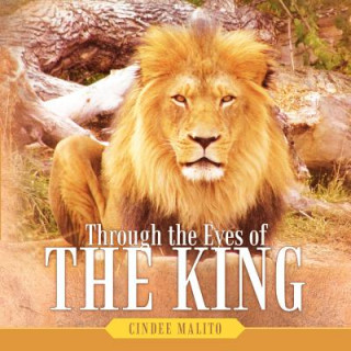 Buch Through the Eyes of The King Cindee Malito