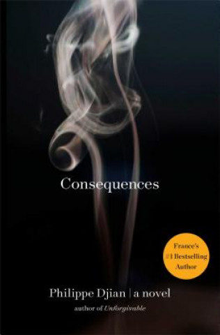 Book Consequences Philippe Djian