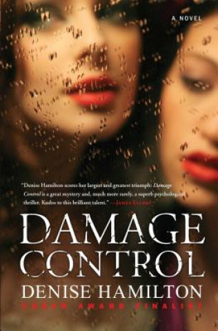 Book Damage Control Denise Hamilton