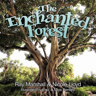 Kniha Enchanted Forest Ray Marshall