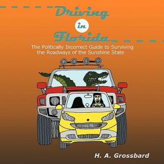 Kniha Driving in Florida H. A. Grossbard