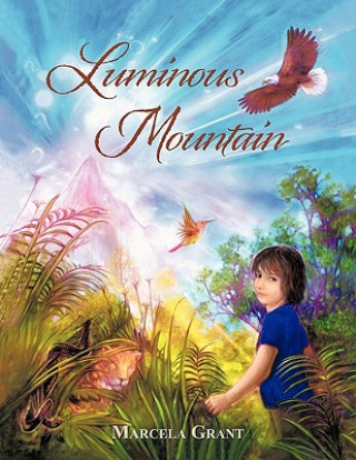 Knjiga Luminous Mountain Marcela Grant