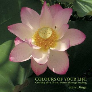 Kniha Colours of Your Life Steve Dinga