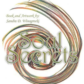 Kniha Soul Secrets Sandra D. Winogrocki