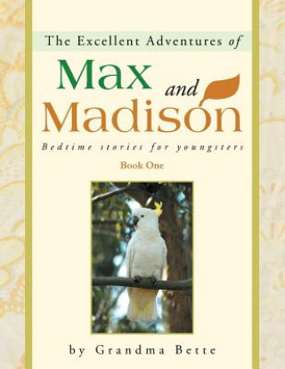 Libro Excellent Adventures of Max and Madison Grandma Bette