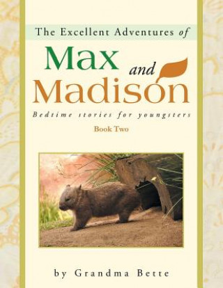 Kniha Excellent Adventures of Max and Madison Grandma Bette