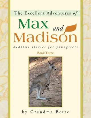 Kniha Excellent Adventures of Max and Madison Grandma Bette