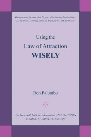 Könyv Using the Law of Attraction Wisely: The Book with Both the Information and the Tools to Greatly Improve Your Life Ron Palumbo