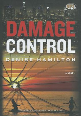 Digital Damage Control Denise Hamilton