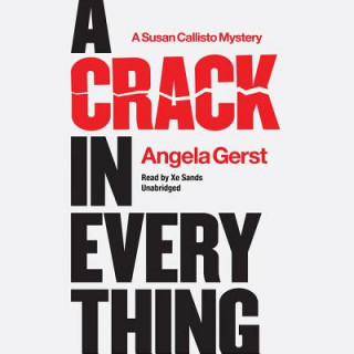 Audio A Crack in Everything: A Susan Callisto Mystery Angela Gerst
