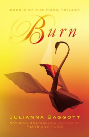 Carte Burn Julianna Baggott