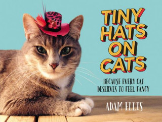 Könyv Tiny Hats on Cats: Because Every Cat Deserves to Feel Fancy Adam Ellis