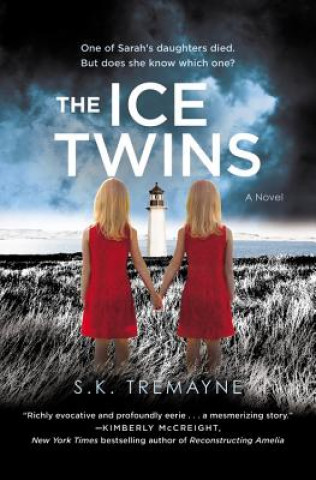 Könyv The Ice Twins S. K. Tremayne