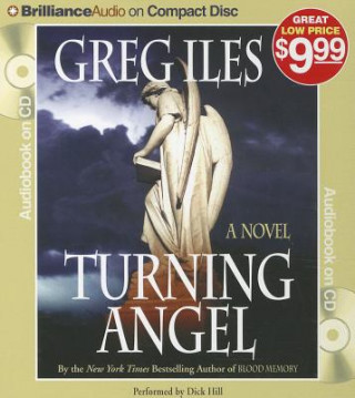 Audio Turning Angel Greg Iles