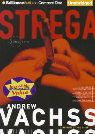 Audio Strega Andrew H. Vachss
