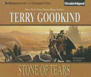 Audio Stone of Tears Terry Goodkind