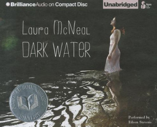 Audio Dark Water Laura McNeal