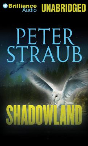 Audio Shadowland Peter Straub