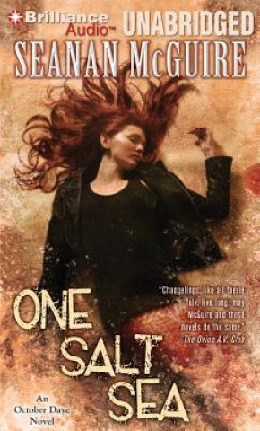 Audio One Salt Sea Seanan McGuire