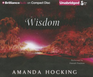 Audio Wisdom Amanda Hocking