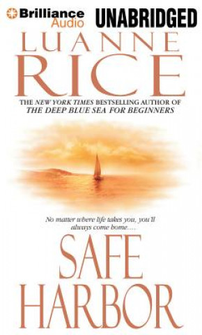 Digital Safe Harbor Luanne Rice