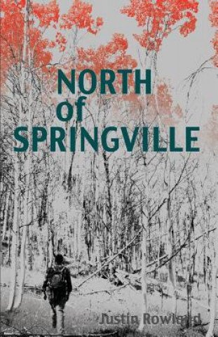 Könyv North of Springville Justin Rowland