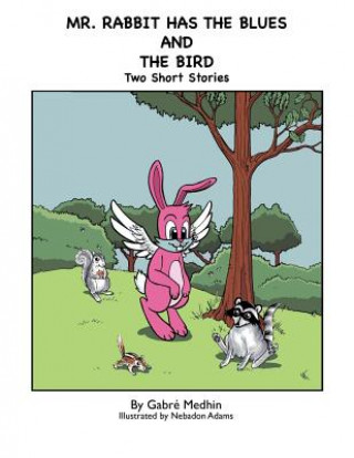 Buch Mr. Rabbit Has the Blues and The Bird Gabre' Medhin