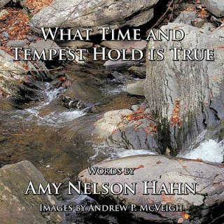 Knjiga What Time and Tempest Hold is True Amy Nelson Hahn