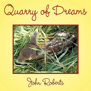 Könyv Quarry of Dreams John Roberts