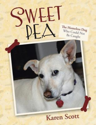 Kniha Sweet Pea Karen Scott