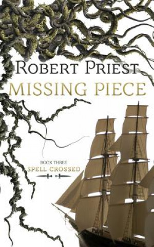 Kniha Missing Piece Robert Priest