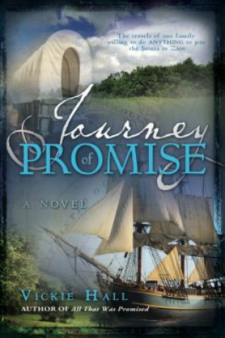 Książka Journey of Promise Vickie Hall