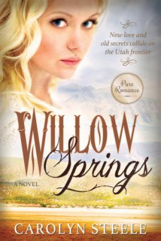 Knjiga Willow Springs Carolyn Steele