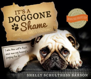 Könyv It's a Doggone Shame: Curious Canine Crimes and Catastrophes Shelly Schulthess Barson