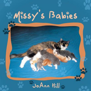 Könyv Missy's Babies Joann Hill