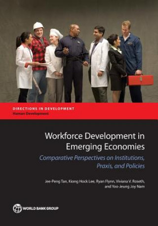 Buch Workforce development in emerging economies Jee-Peng Tan