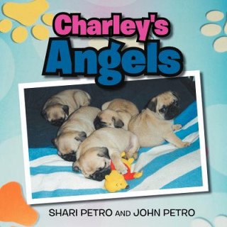 Kniha Charley's Angel Shari Petro