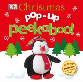 Kniha Pop-Up Peekaboo! Christmas Dawn Sirett