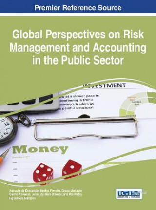 Kniha Global Perspectives on Risk Management and Accounting in the Public Sector Augusta Da Conceicao Santos Ferreira