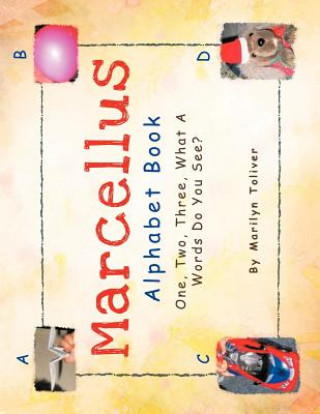 Kniha Marcellus Alphabet Book Marilyn Toliver