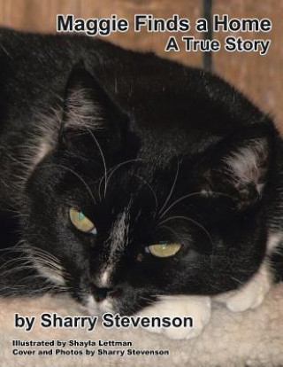 Könyv Maggie Finds a Home Sharry Stevenson