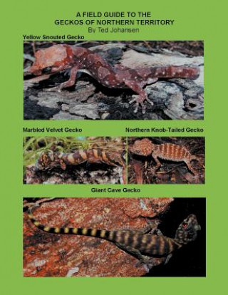 Kniha Field Guide to the Geckos of Northern Territory Ted Johansen