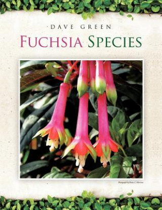 Knjiga Fuchsia Species Dave Green