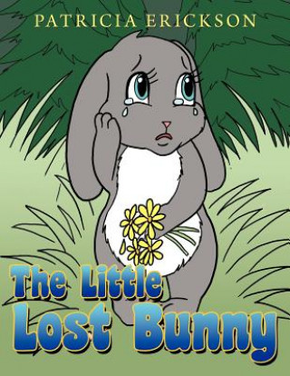 Kniha Little Lost Bunny Patricia Erickson