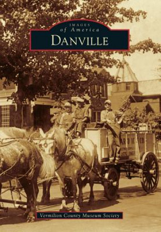 Kniha Danville Vermilion County Museum Society